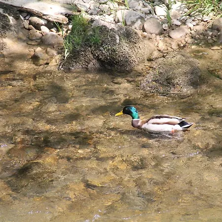 Maison Des Gorges, Ferienhaus, Optimal 4 Pers Max 6 Pers * Moutier