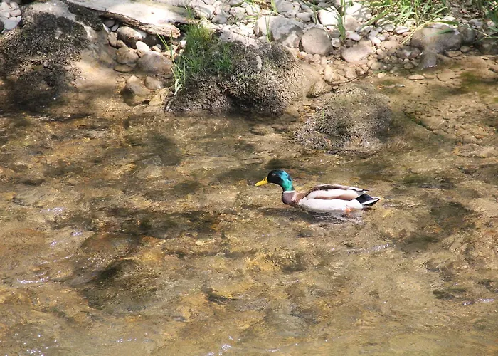 Maison Des Gorges, Ferienhaus, Optimal 2 - 4 Pers Max 6 Pers * Moutier